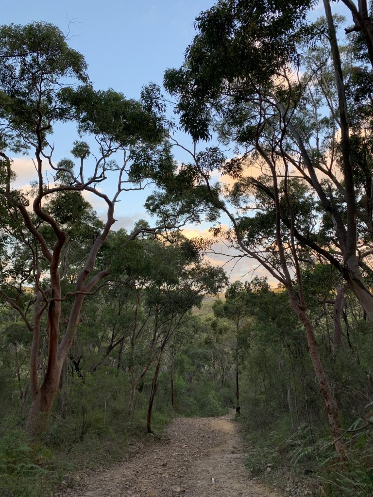 Trails from Audley, Winifred Falls - Audley Dance Hall